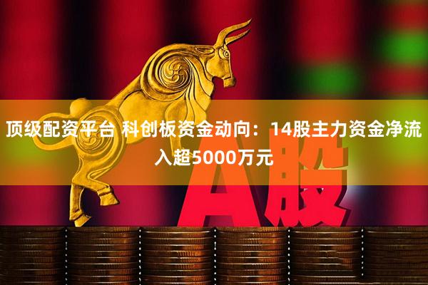 顶级配资平台 科创板资金动向：14股主力资金净流入超5000万元