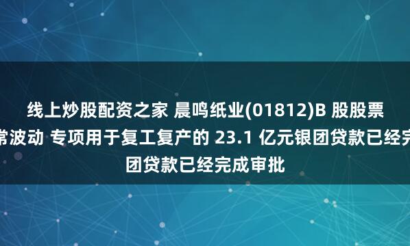 线上炒股配资之家 晨鸣纸业(01812)B 股股票交易异常波动 专项用于复工复产的 23.1 亿元银团贷款已经完成审批
