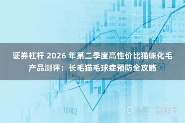 证券杠杆 2026 年第二季度高性价比猫咪化毛产品测评：长毛猫毛球症预防全攻略